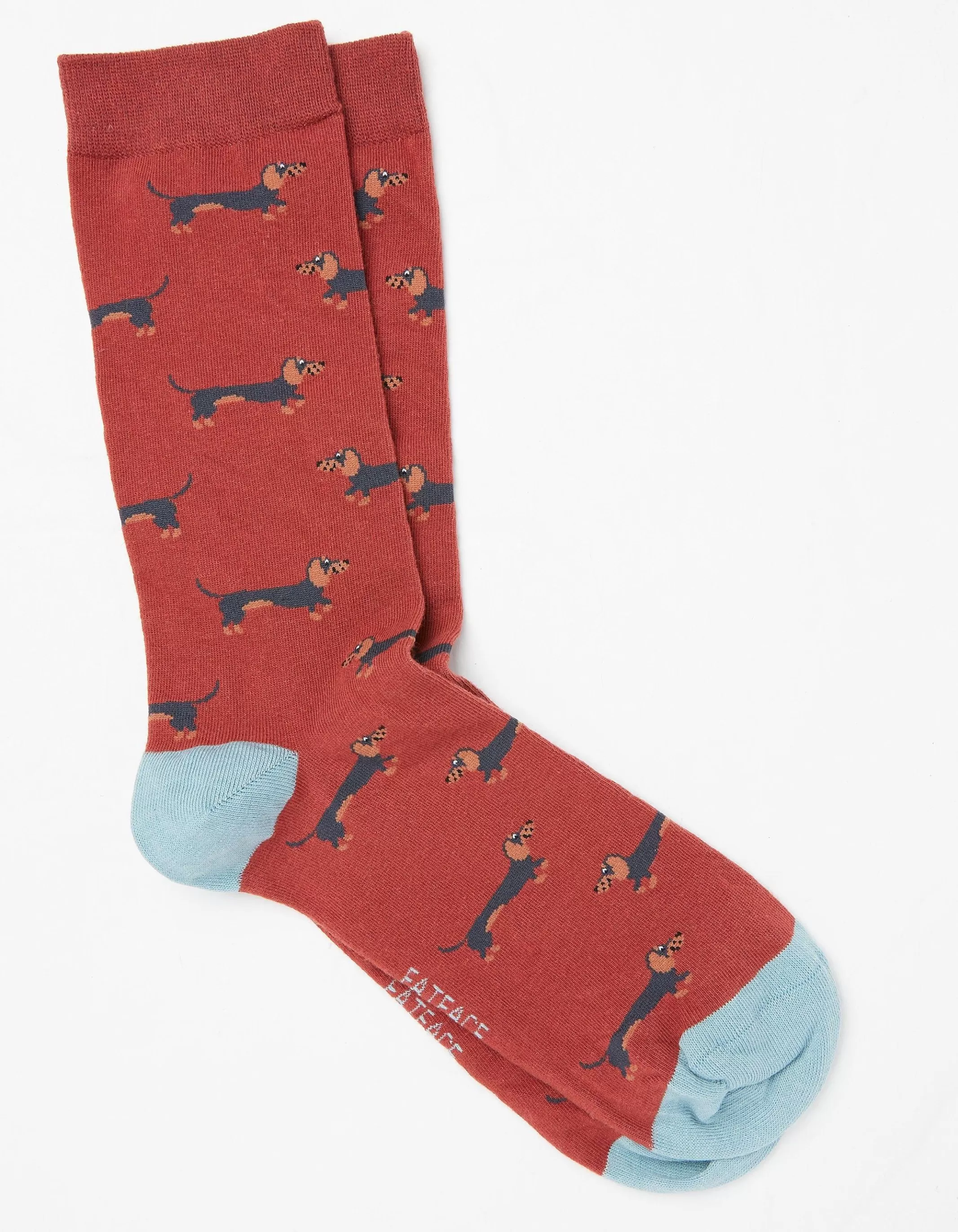 Online FatFace 1 Pack Dachshund Socks Dark Orange