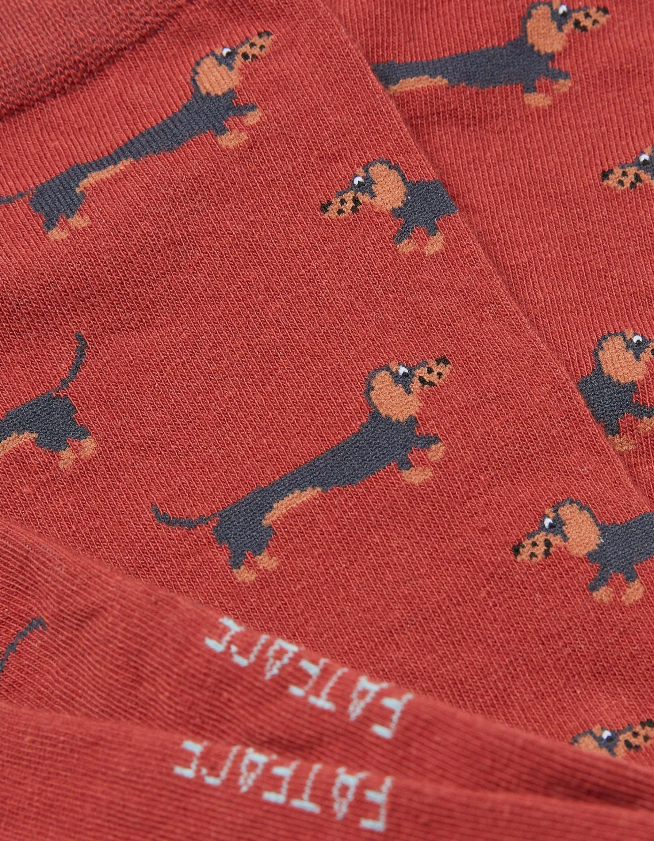 Online FatFace 1 Pack Dachshund Socks Dark Orange