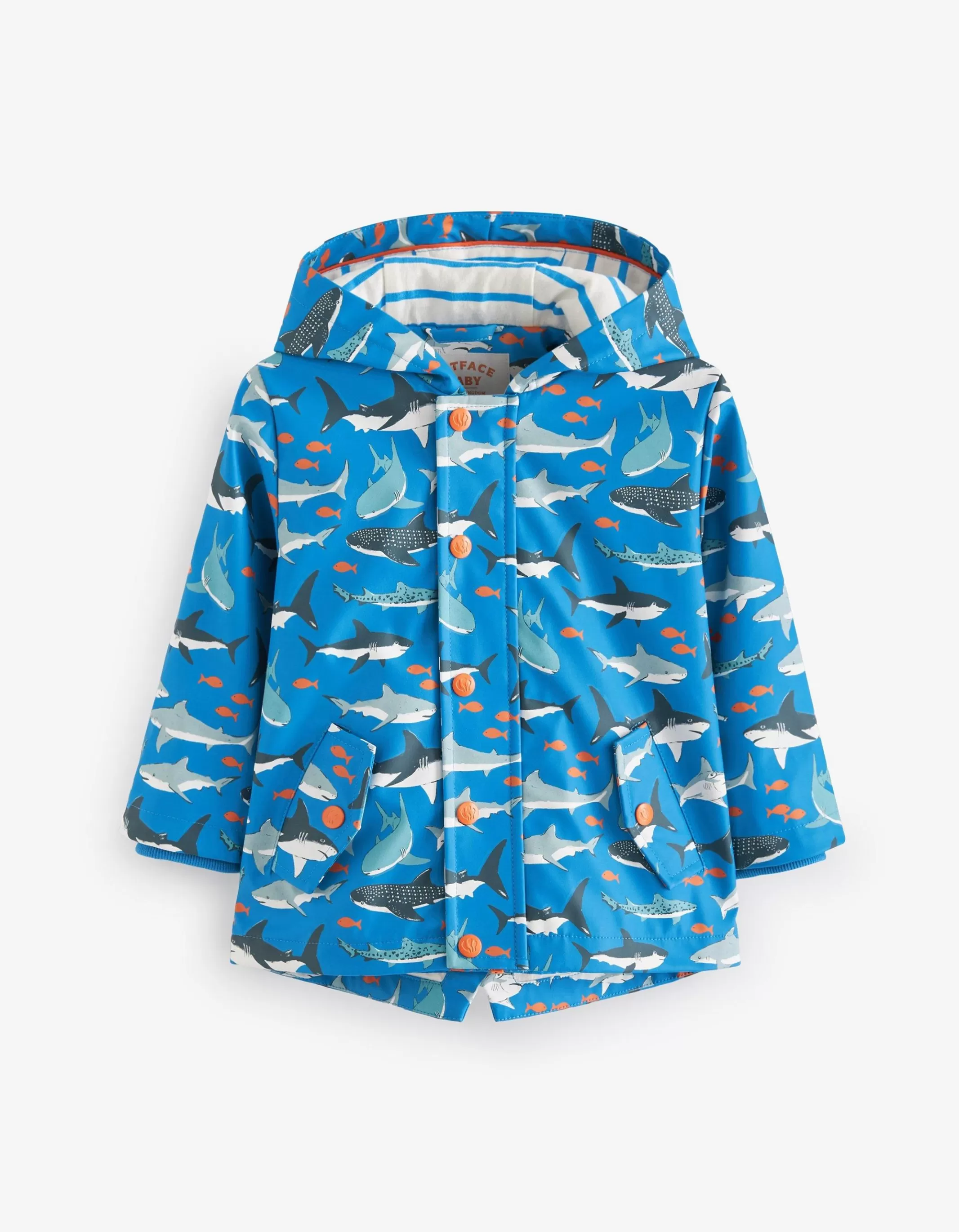 Clearance FatFace Shark Print Raincoat Blue